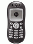 Motorola C250  