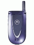 Motorola V66i  